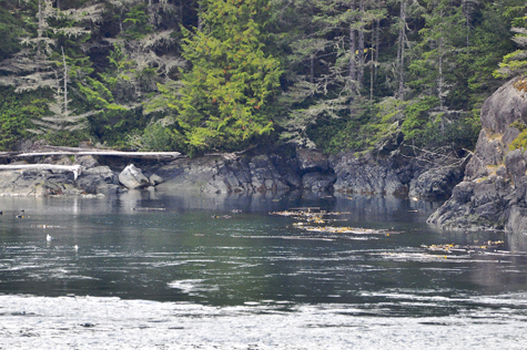 Melanie Heinrich Images - Alaska
